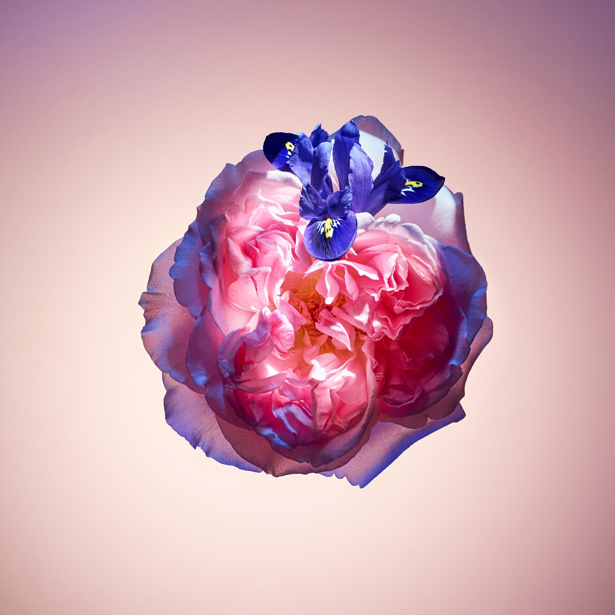 louis-vuitton-travel-spray-